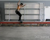 How To: 360 Flip Noseslide With Chris Cole