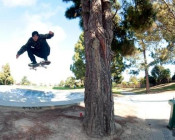 Skatepark Round-Up: Santa Cruz